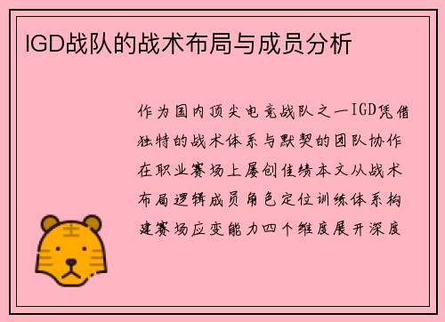 IGD战队的战术布局与成员分析